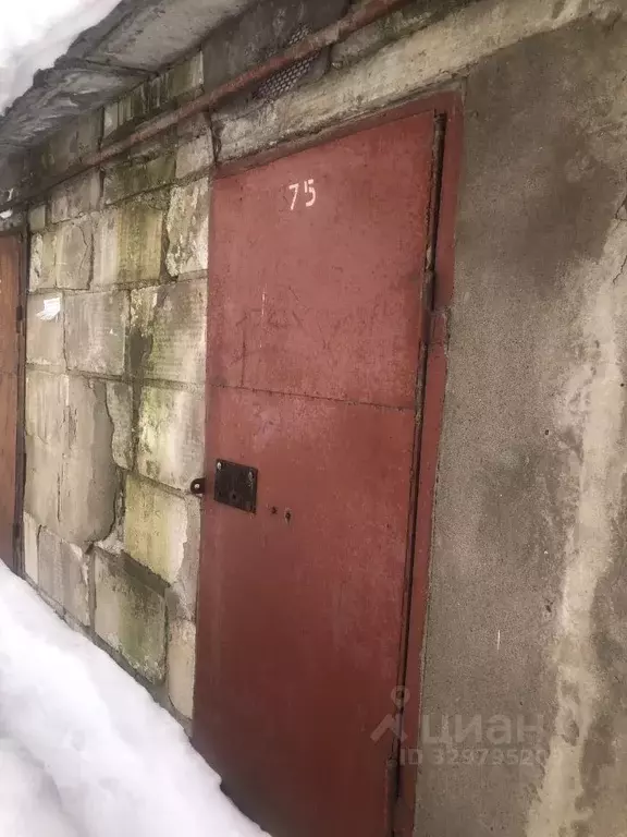 Помещение свободного назначения в Кировская область, Киров ул. Романа ... - Фото 1