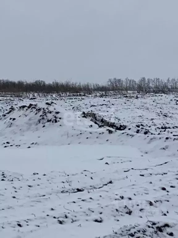 Участок в Белгородская область, Белгородский район, Головинское с/пос, ... - Фото 2