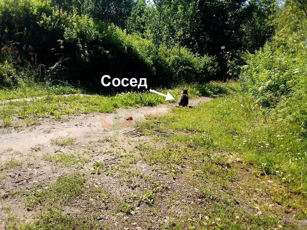 Участок, 12 сот., поселения (ижс) - Фото 1