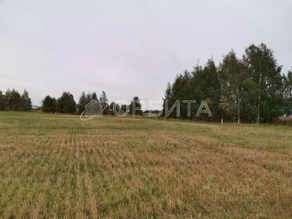 Участок в Тюменская область, Тюменский район, с. Каменка  (7.5 сот.) - Фото 0