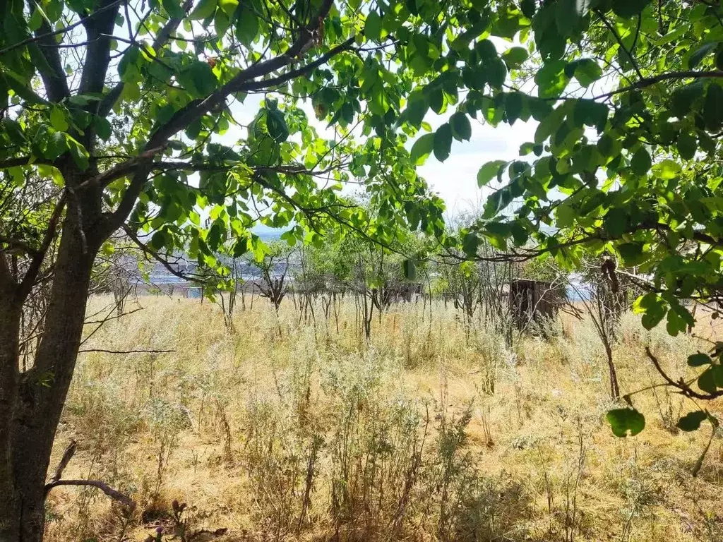 Участок в Ставропольский край, Предгорный муниципальный округ, пос. ... - Фото 1