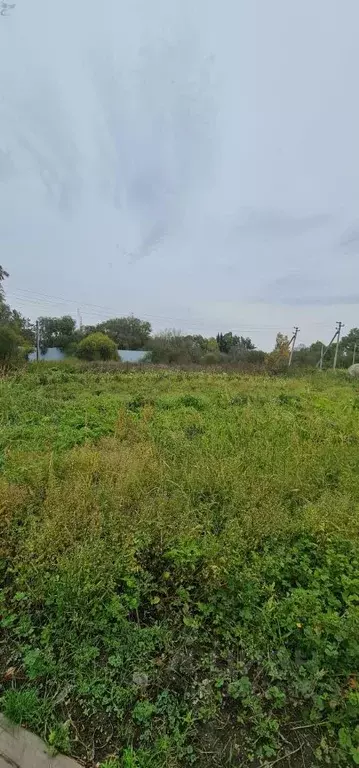 Участок в Хабаровский край, Хабаровск пос. Березовка, ул. ... - Фото 2