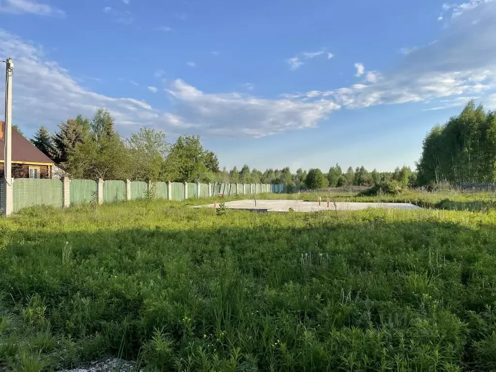 Участок в Владимирская область, Камешковский муниципальный округ, д. ... - Фото 2