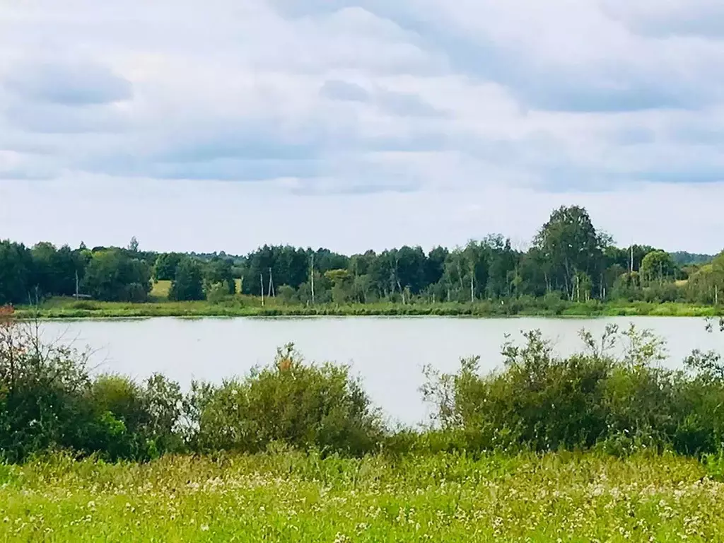 Участок в Ленинградская область, Лужский район, Дзержинское с/пос, д. ... - Фото 1