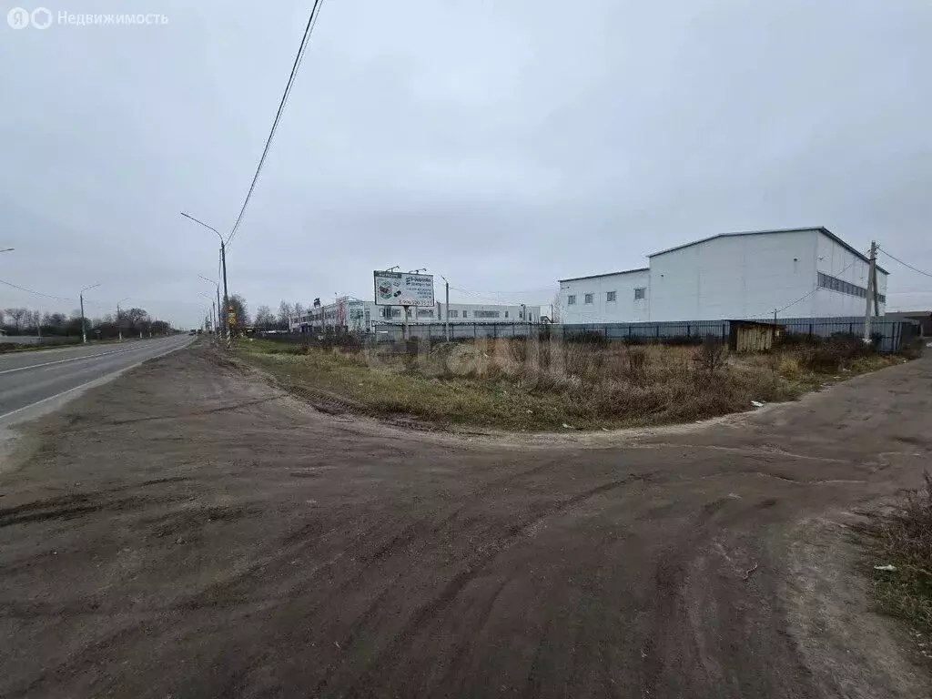 Участок в Добрунь, садоводческое некоммерческое товарищество Пищевик ... - Фото 2