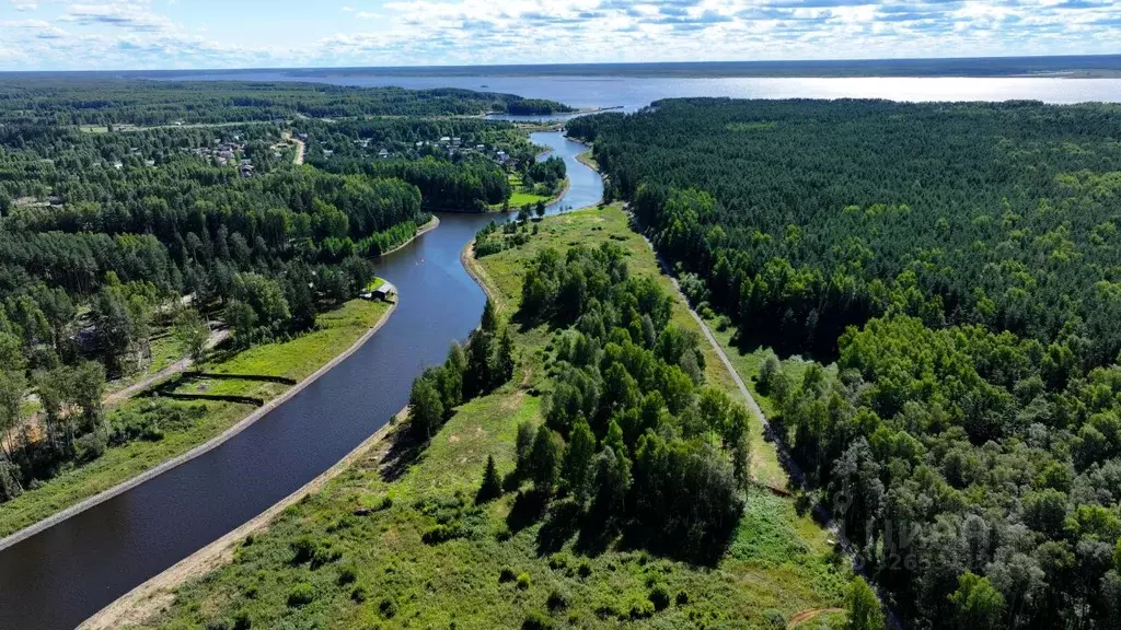 Участок в Ярославская область, Рыбинский муниципальный округ, ... - Фото 1