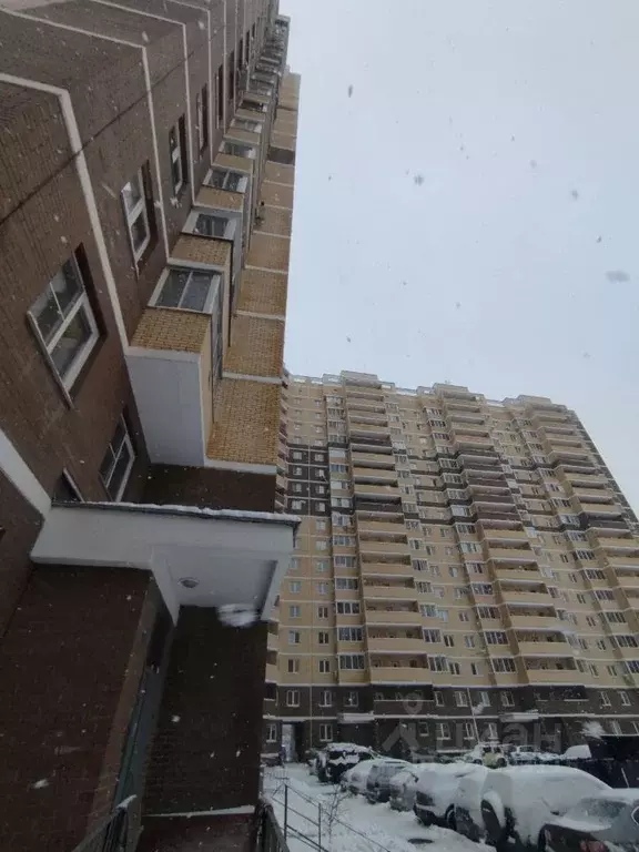 1-к кв. Московская область, Пушкино ул. Просвещения, 11к1 (31.0 м) - Фото 2