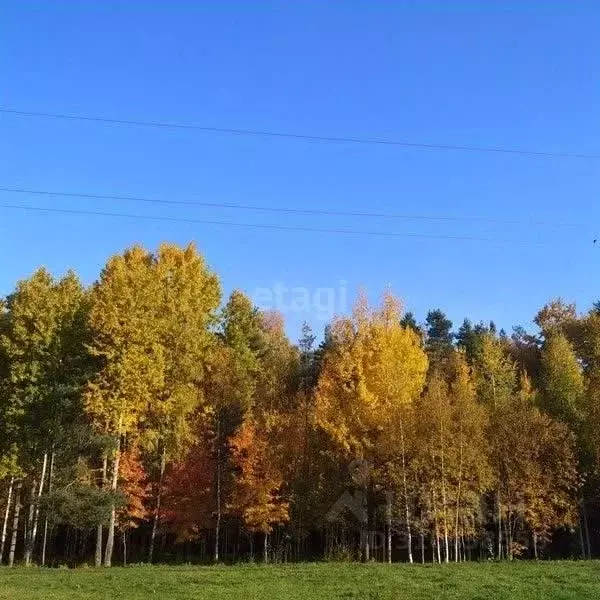 Участок в Калужская область, Износки с/пос, д. Мусино  (1100.0 сот.) - Фото 0