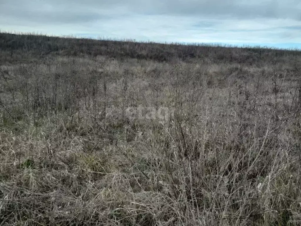 Участок в Ставропольский край, Предгорный муниципальный округ, ... - Фото 1