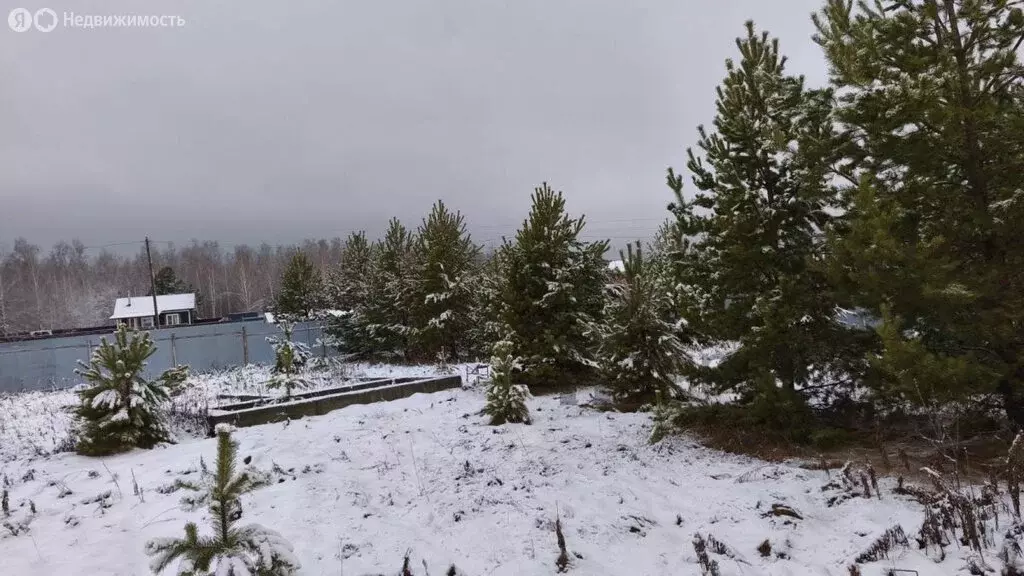 Участок в Челябинская область, Аргаяшский муниципальный округ, деревня ... - Фото 1