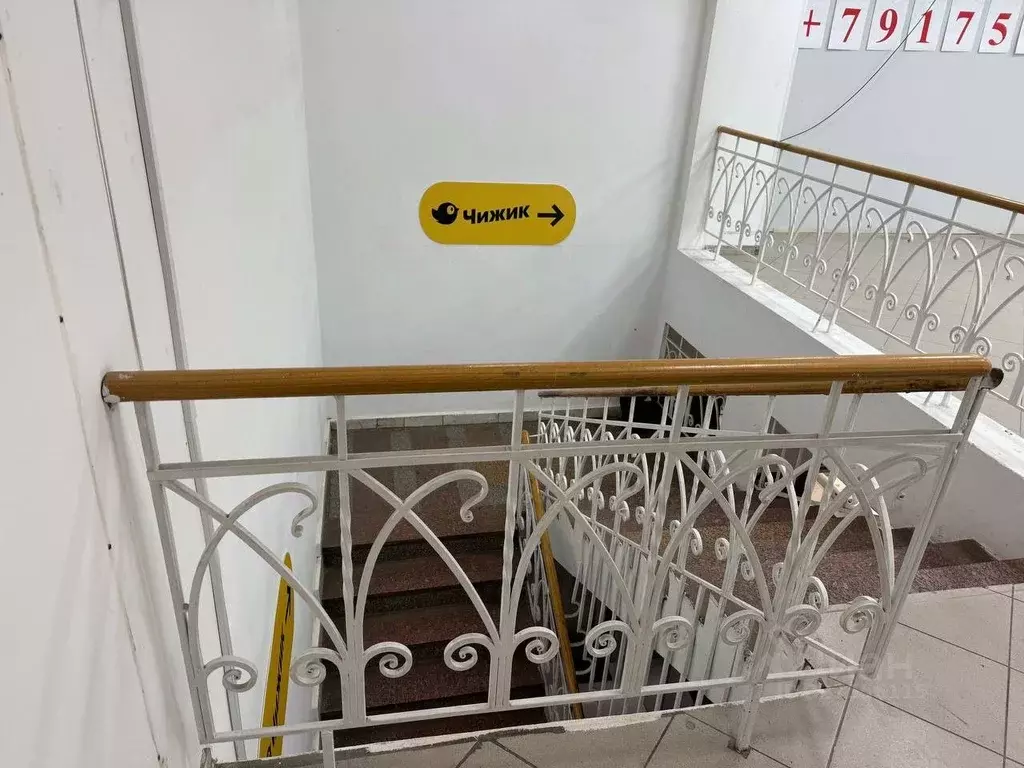 Торговая площадь в Москва 9-я Парковая ул., 68К5 (10 м) - Фото 2