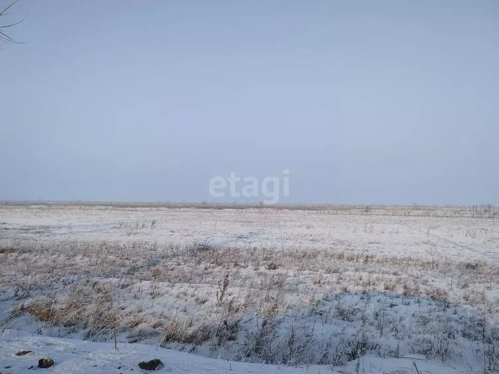 Участок в Ханты-Мансийский АО, Сургутский район, Белый Яр пгт Таежная ... - Фото 0