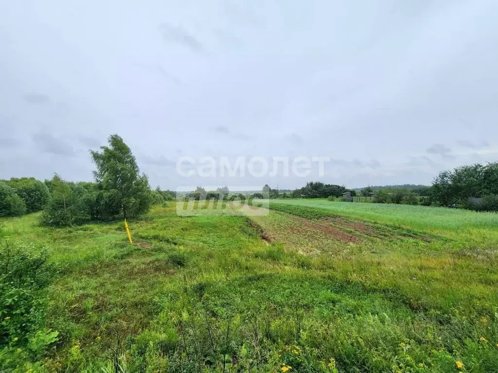 Участок в Владимирская область, Александровский муниципальный округ, ... - Фото 2