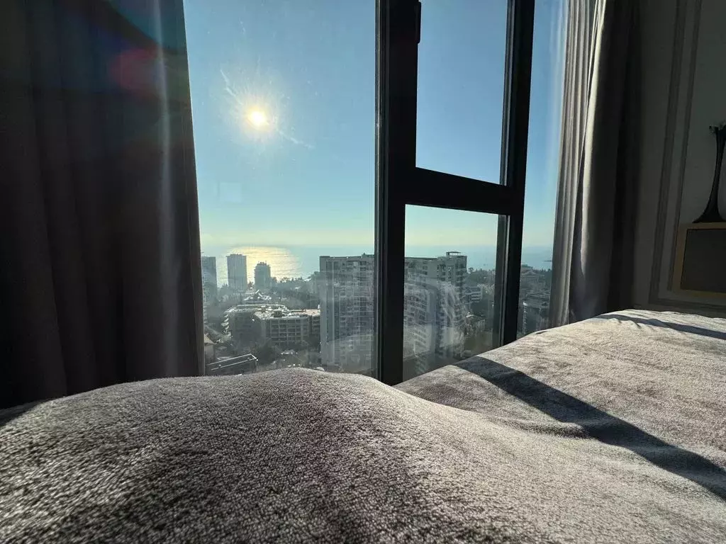 Студия Краснодарский край, Сочи Светлана мкр, ул. Депутатская, 10Б/1 ... - Фото 2