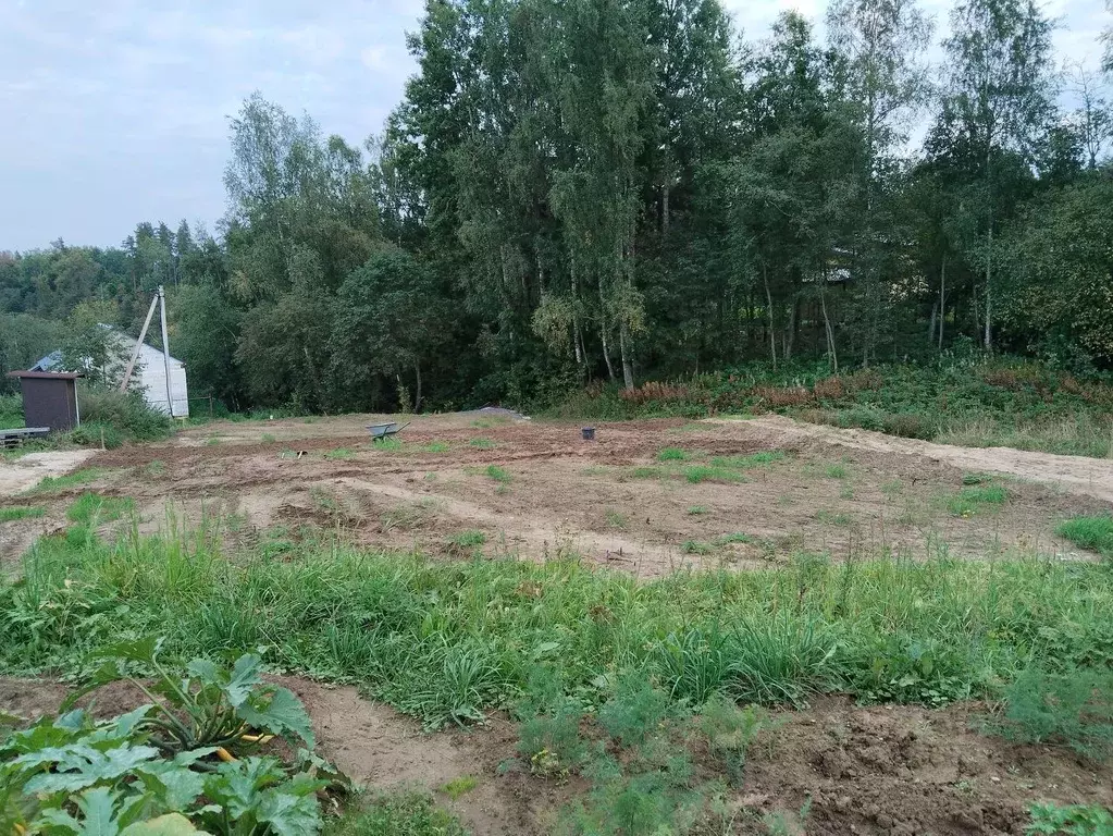 Участок в Ленинградская область, Приозерский район, пос. Сосново ул. ... - Фото 1