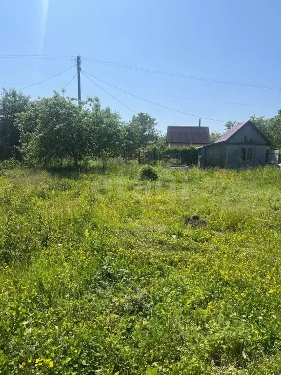 Участок в Калининградская область, Калининград 50 лет Октября СНТ, ул. ... - Фото 1