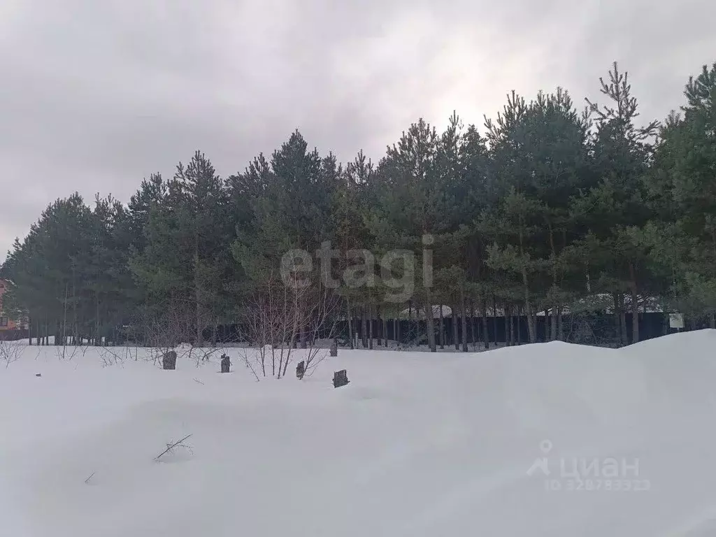 Участок в Московская область, Орехово-Зуевский городской округ, д. ... - Фото 2