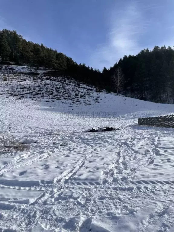 Участок в Алтай, Чемальский район, Элекмонарское с/пос, с. Элекмонар  ... - Фото 2