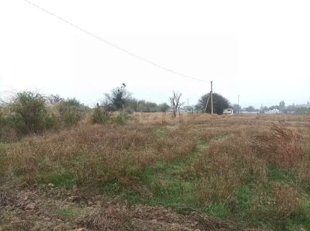 Участок в Крым, Кировский район, Журавское с/пос, с. Новопокровка ул. ... - Фото 1