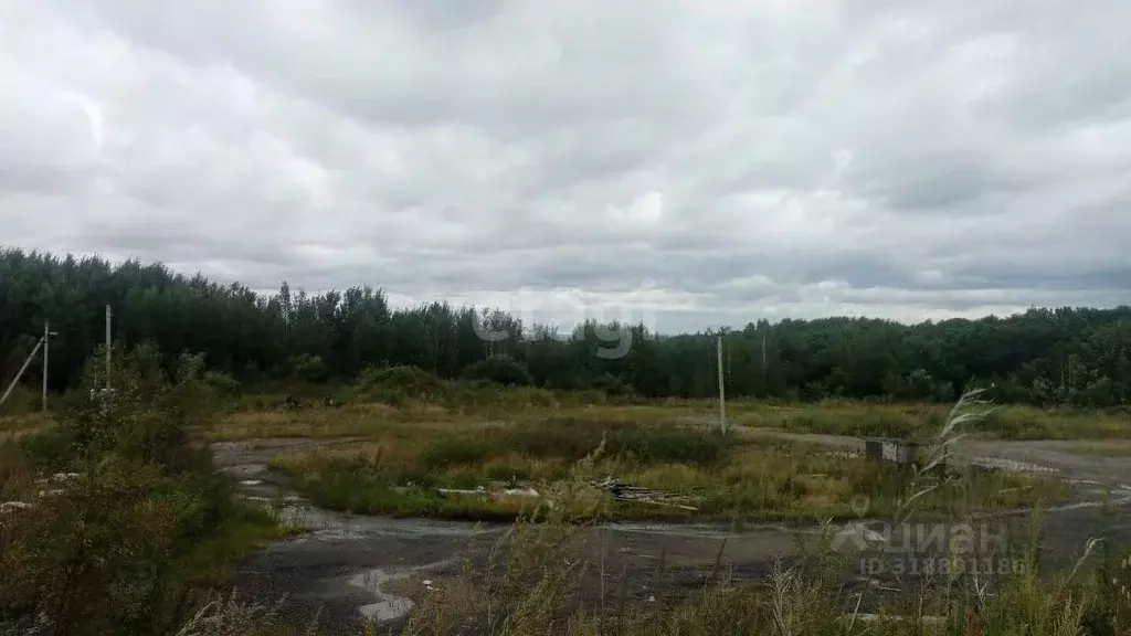 Участок в Хабаровский край, Хабаровский район, с. Краснореченское  ... - Фото 1