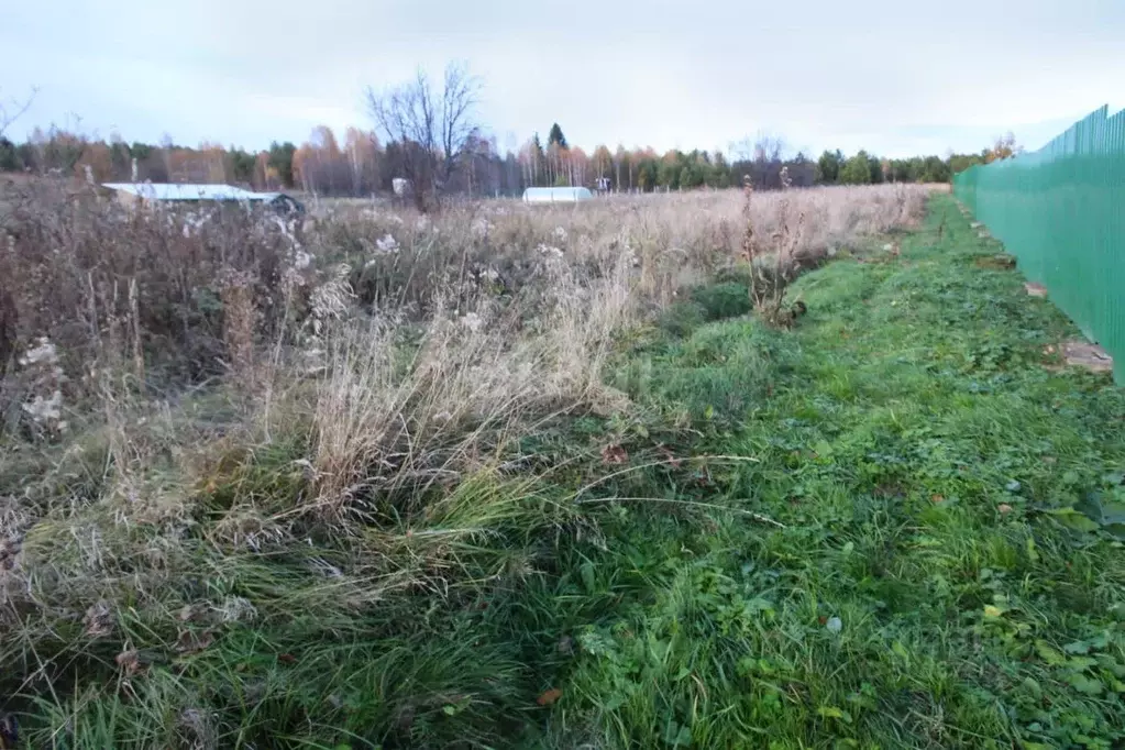 Участок в Свердловская область, Нижний Тагил городской округ, пос. ... - Фото 1