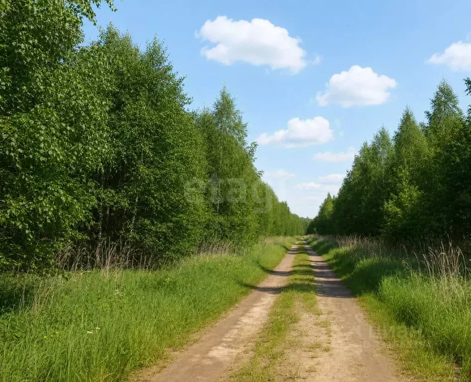 Участок в Тюменская область, Нижнетавдинский муниципальный округ, ... - Фото 1