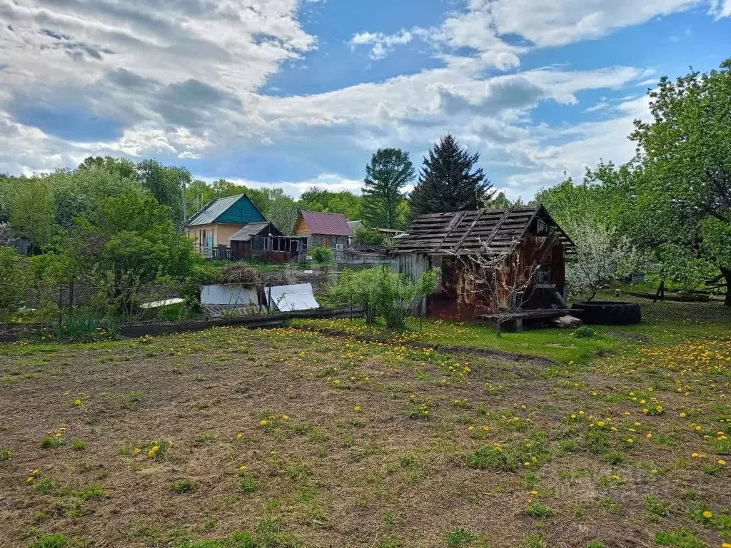 Участок в Амурская область, Благовещенск Маслобойного завода СТ,  (5.3 ... - Фото 1