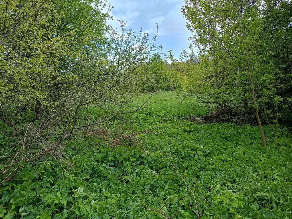 Участок в Московская область, Ступино городской округ, д. Медведево  ... - Фото 0