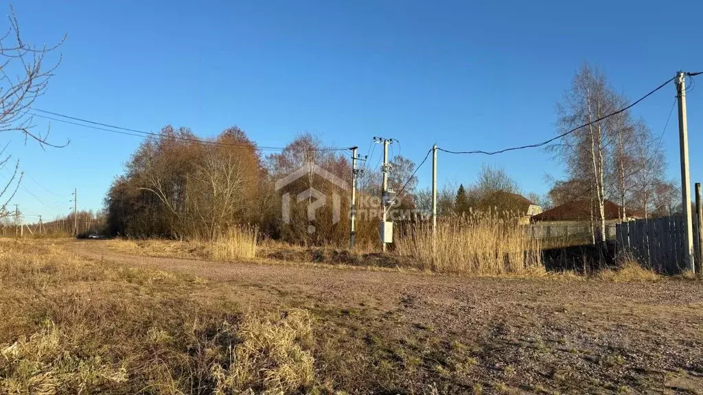 Участок в Ленинградская область, Ломоносовский район, Пениковское ... - Фото 2