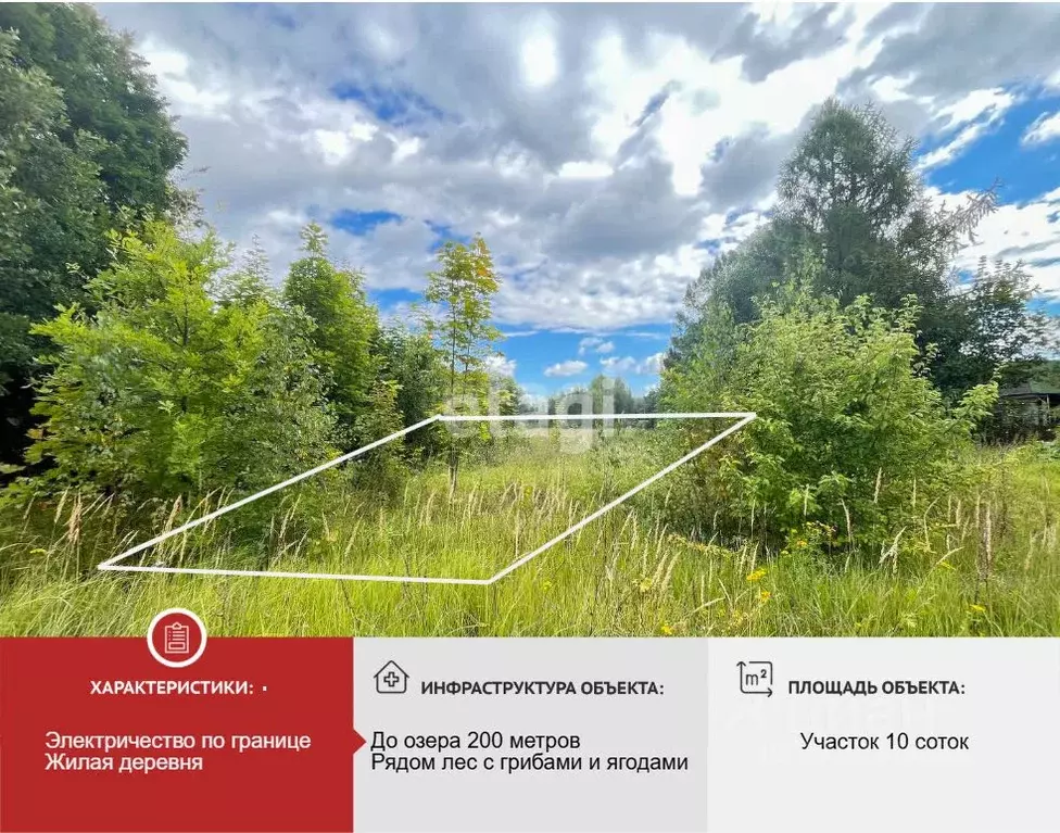 Участок в Ярославская область, Ростовский муниципальный округ, д. ... - Фото 0