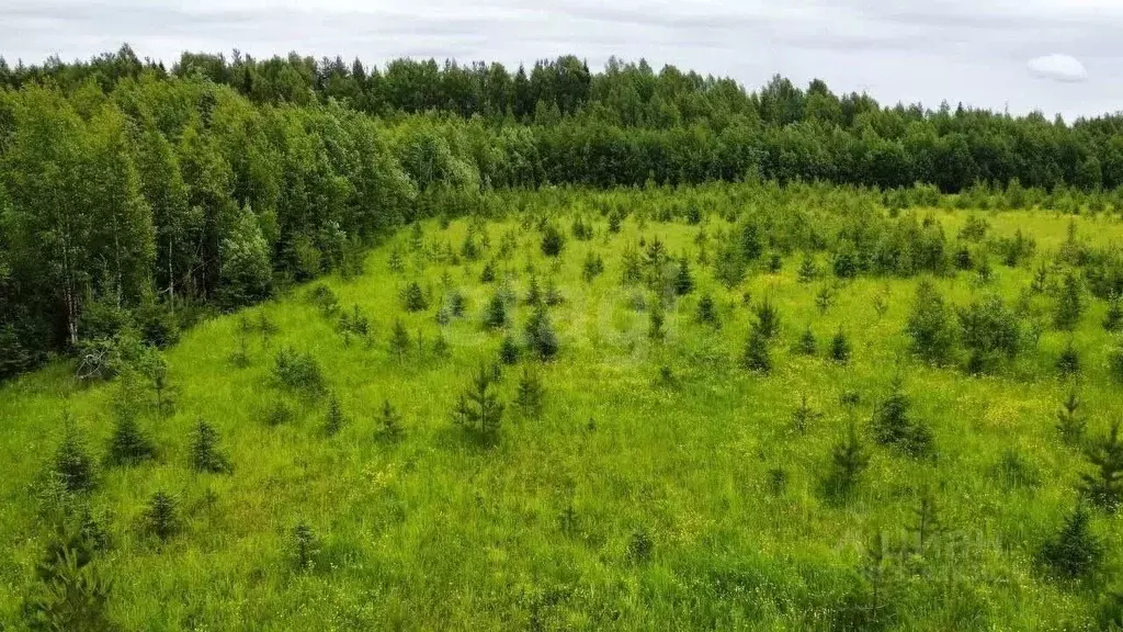 Участок в Коми, Корткеросский район, Додзь муниципальное образование, ... - Фото 1