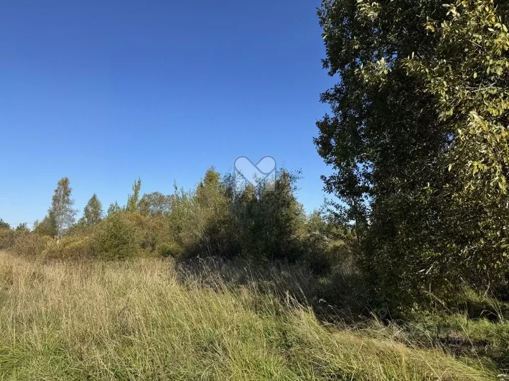Участок в Ленинградская область, Приозерский район, Плодовское с/пос, ... - Фото 1