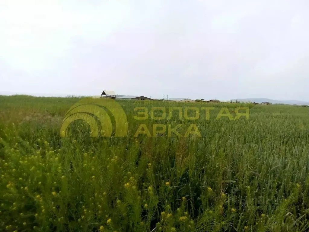 Участок в Краснодарский край, Темрюкский район, Фонталовское с/пос, ... - Фото 2