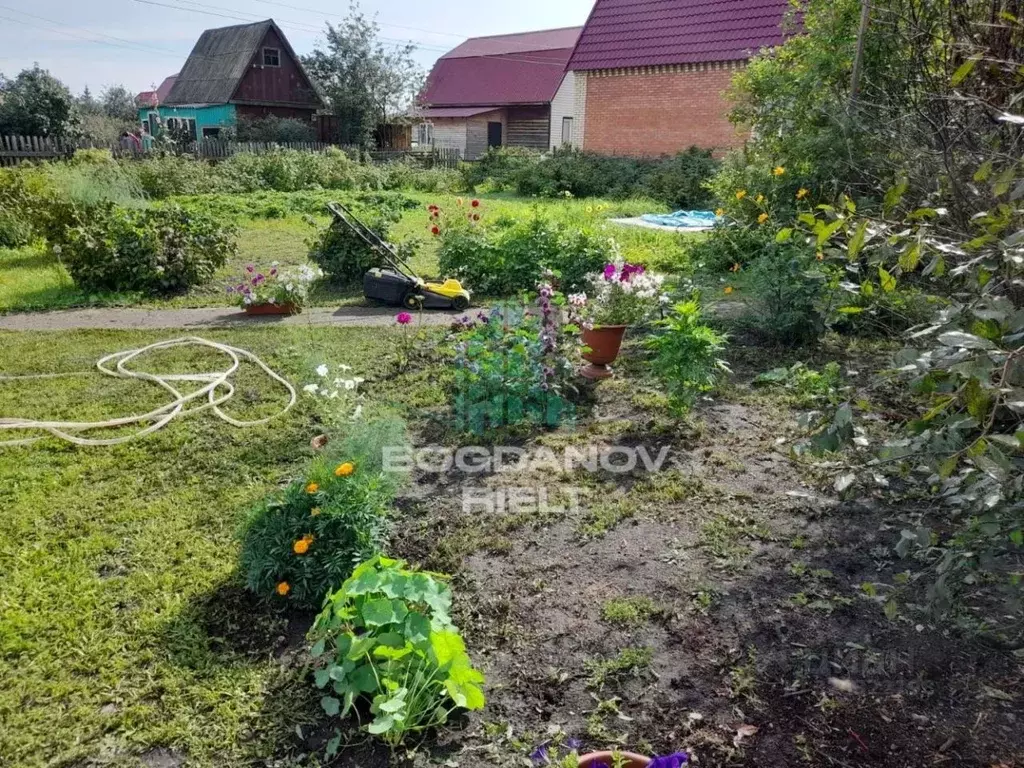Дом в Омская область, Омск СОСН Птицевод-2 тер.,  (35 м) - Фото 1