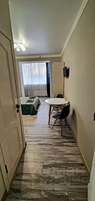 Студия Ставропольский край, Пятигорск Оранжерейная ул., 17 (25.0 м) - Фото 1