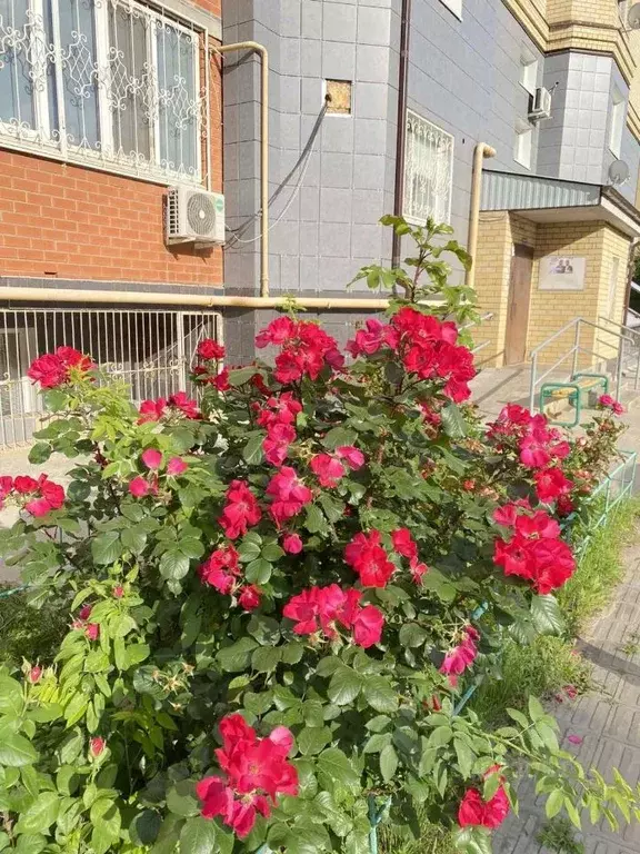 2-к кв. Калмыкия, Элиста ул. Ю. Клыкова, 81Б (62.0 м) - Фото 1