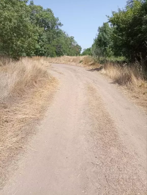 Участок в Краснодарский край, Анапа муниципальный округ, с. ... - Фото 0