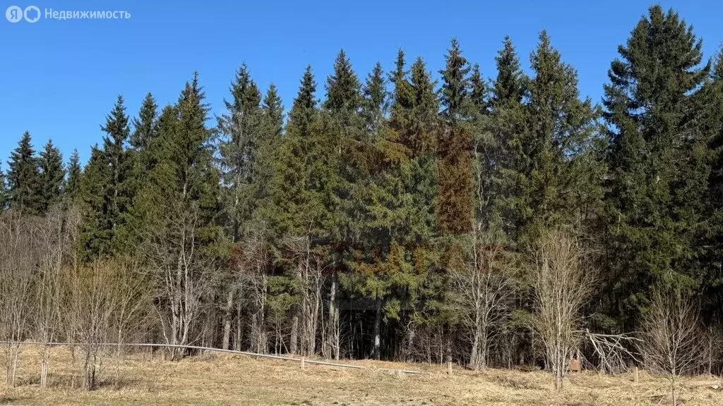 Участок в Лопухинское сельское поселение, коттеджный посёлок Новая ... - Фото 1