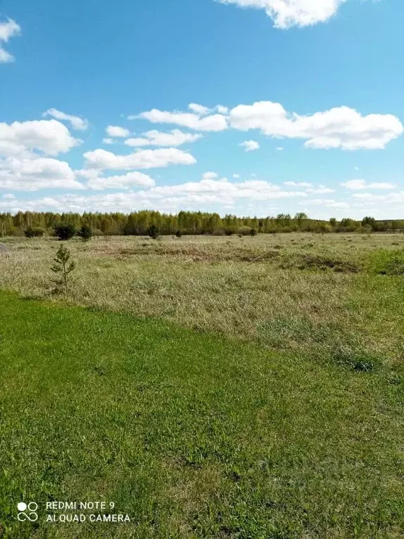 участок в свердловская область, белоярский городской округ, с. . - Фото 1