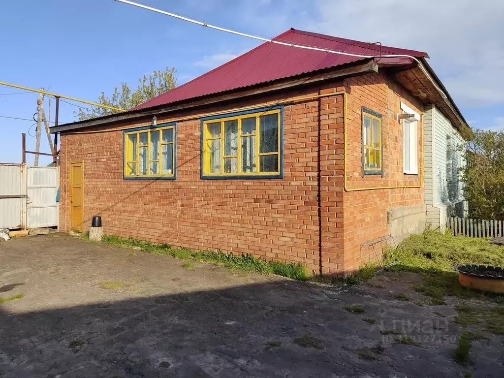Дом в Омская область, с. Нижняя Омка ул. Воронкова (95 м) - Фото 1