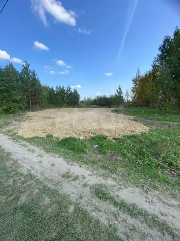 Участок в Тюменская область, Нижнетавдинский муниципальный округ, ... - Фото 1