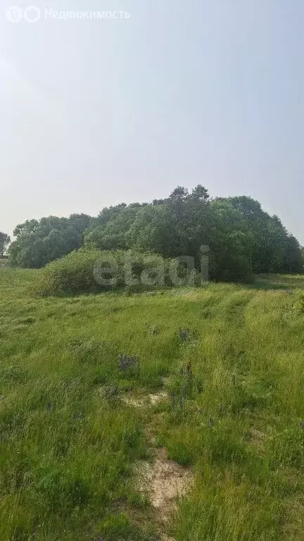 Участок в посёлок Поддубы, Почтовая улица (31 м) - Фото 1