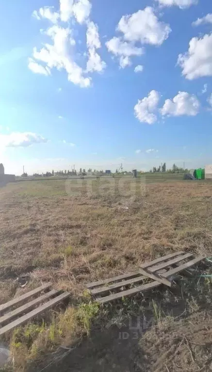 Участок в Белгородская область, Белгородский район, Разумное рп, ... - Фото 1