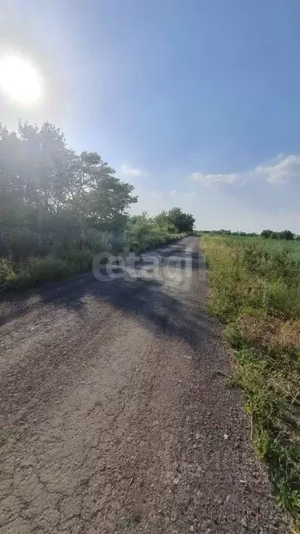 Участок в Ростовская область, Аксайский район, Старочеркасская ст-ца ... - Фото 1