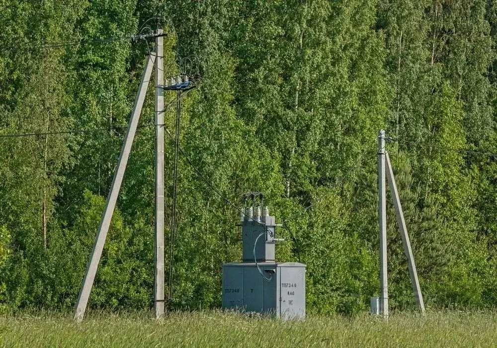 Участок в Ленинградская область, Всеволожский район, Колтушское ... - Фото 1