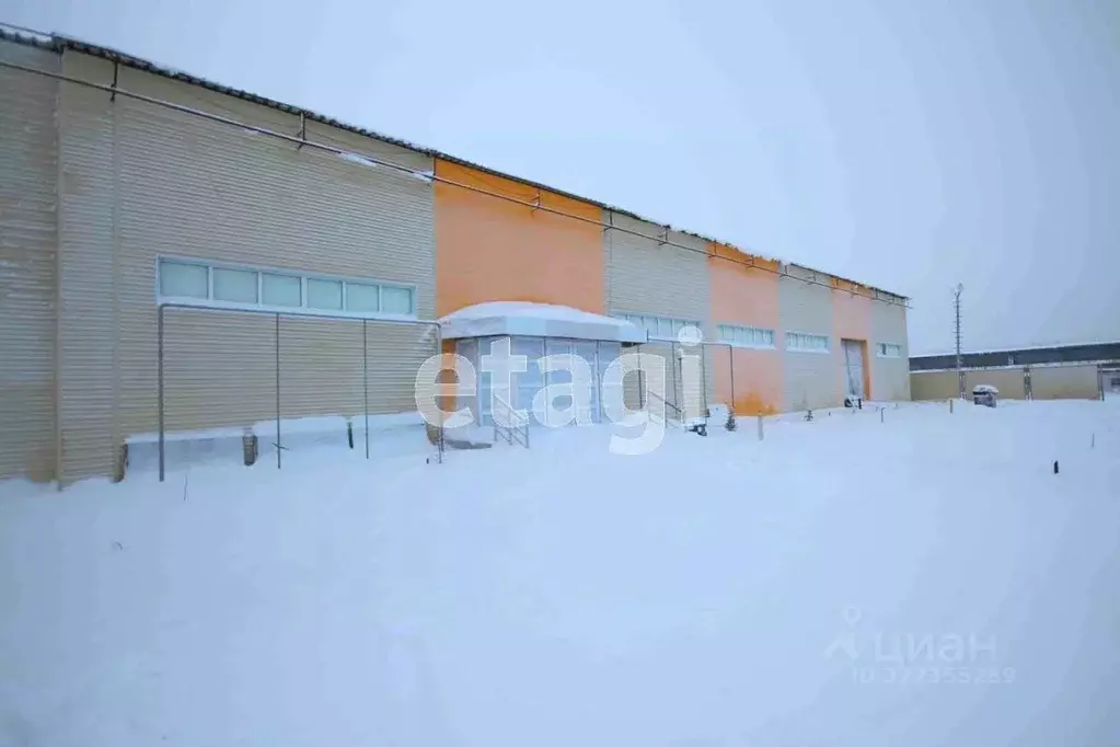 Склад в Ямало-Ненецкий АО, Новый Уренгой Крайняя ул., 6 (12354 м) - Фото 2