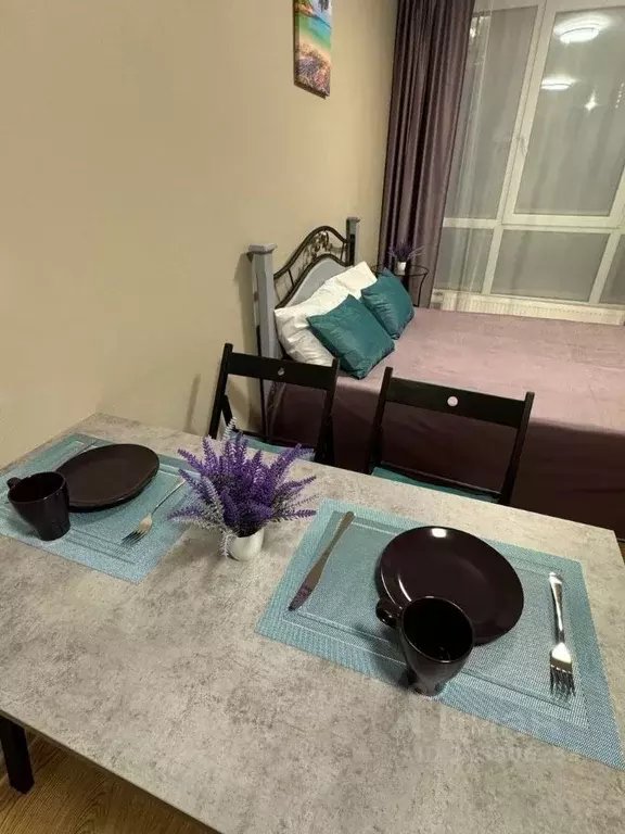 Студия Санкт-Петербург пос. Парголово, проезд Толубеевский, 8к2 (22.0 ... - Фото 2