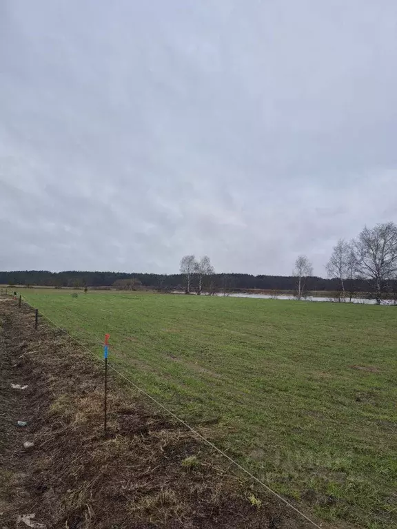 Участок в Тверская область, Калининский муниципальный округ, д. ... - Фото 1