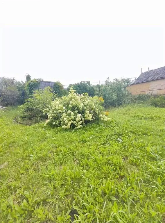 Участок в Псковская область, Псковский район, Тямшанская волость, ... - Фото 1