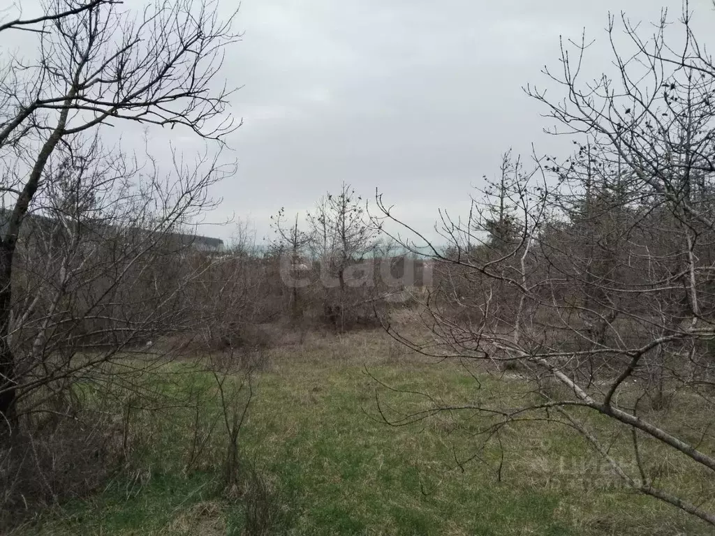 Участок в Краснодарский край, Геленджик городской округ, с. ... - Фото 1